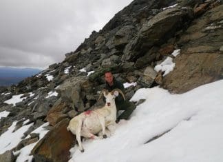 Sheep Hunt in Alaska Part 3 pic 11 sheep